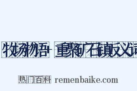 牧场物语+重聚矿石镇反义词是什么意思的图片